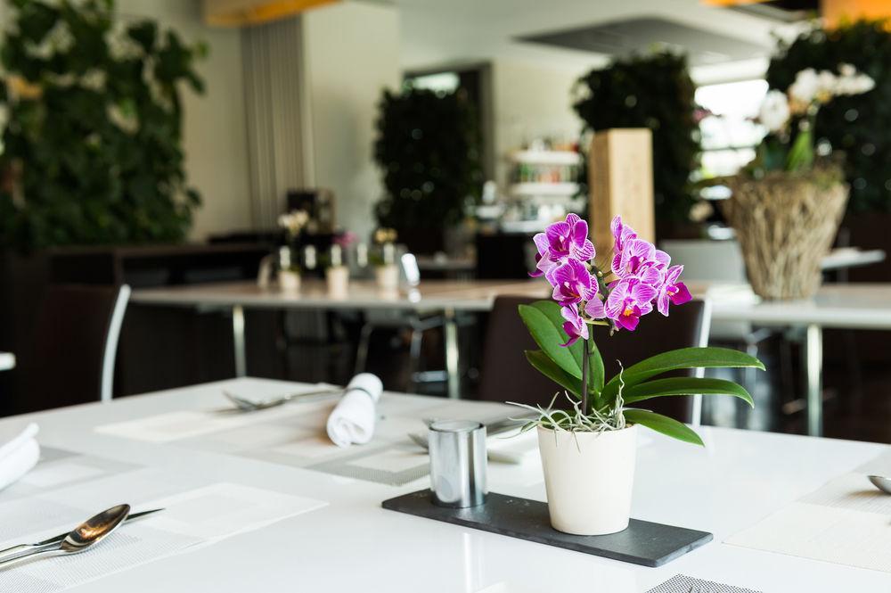 Hotel Apart - Welcoming L Urban Feel L Design Risch-Rotkreuz Bagian luar foto